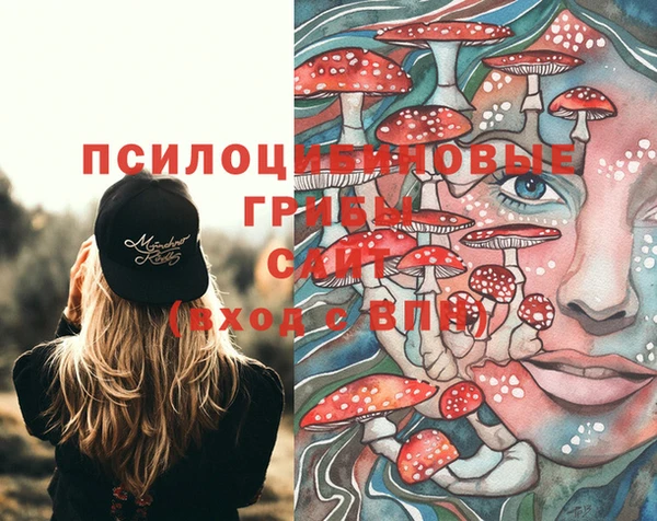 дживик Каменка