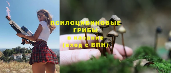 дживик Каменка