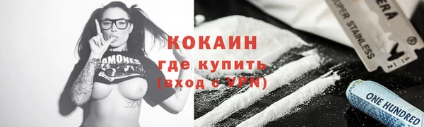 дживик Каменка