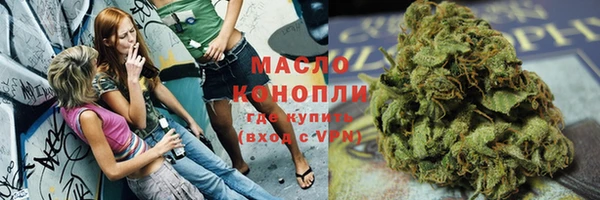 дживик Каменка