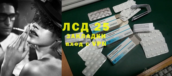 дживик Каменка