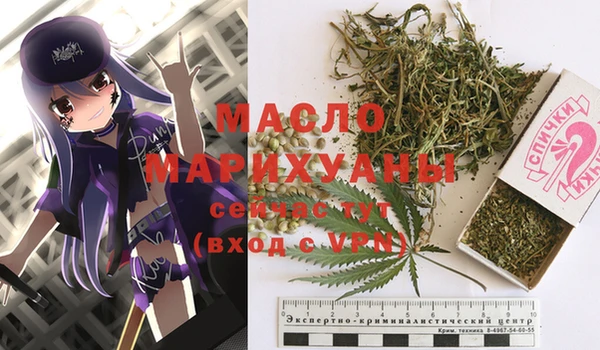 дживик Каменка